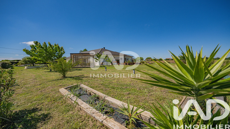Ma-Cabane - Vente Maison Arzacq-Arraziguet, 137 m²