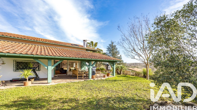 Ma-Cabane - Vente Maison Ascain, 227 m²