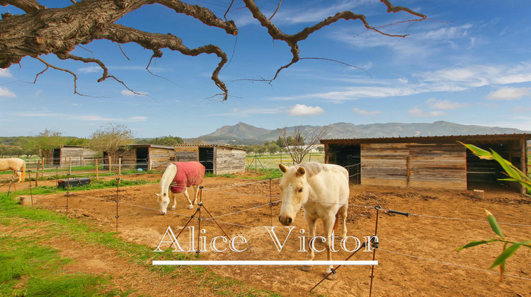 Ma-Cabane - Vente Maison AUBAGNE, 355 m²