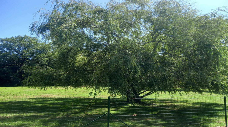 Ma-Cabane - Vente Maison AUBIGNY, 153 m²