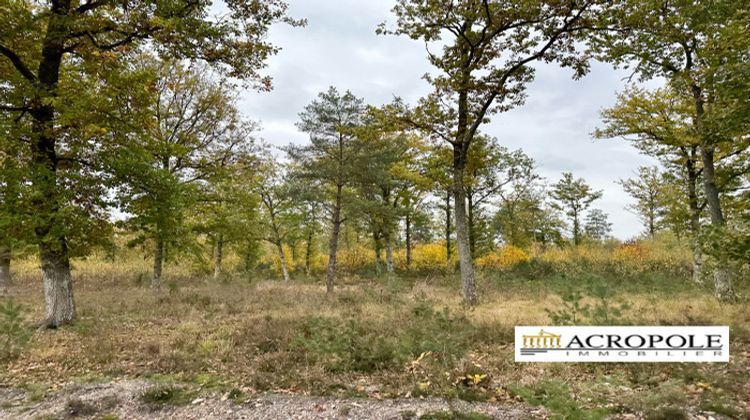 Ma-Cabane - Vente Maison Aubigny-sur-Nère, 310 m²