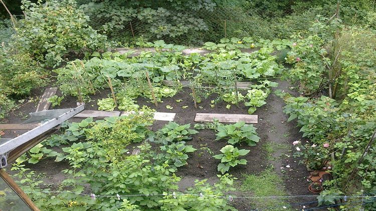 Ma-Cabane - Vente Maison AUBUSSON, 81 m²