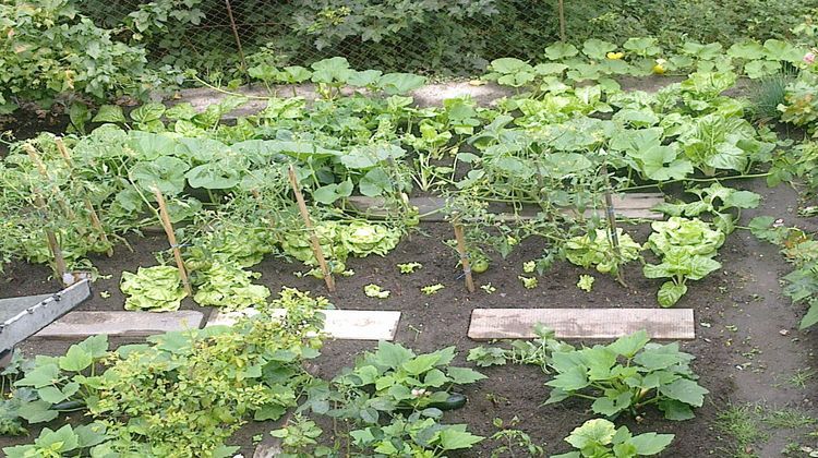 Ma-Cabane - Vente Maison AUBUSSON, 81 m²