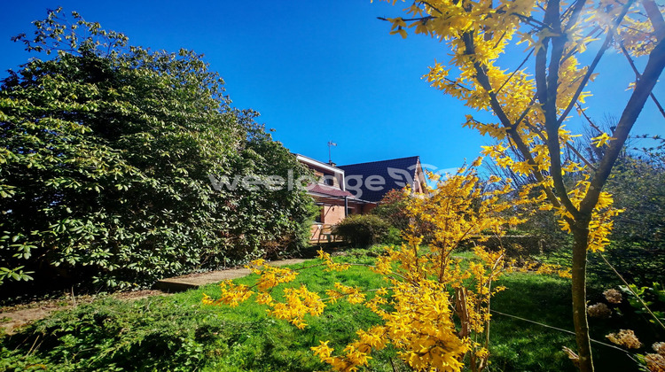 Ma-Cabane - Vente Maison Auchel, 261 m²