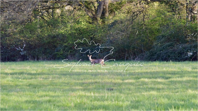 Ma-Cabane - Vente Maison AUTRY LE CHATEL, 157 m²