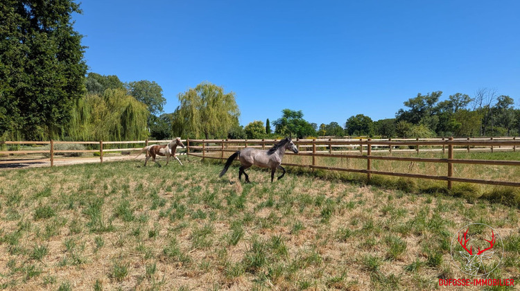 Ma-Cabane - Vente Maison AVIGNON, 330 m²