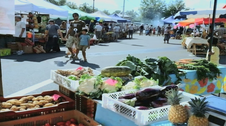 Ma-Cabane - Vente Maison AVIRONS, 110 m²