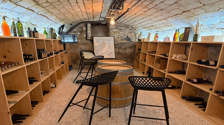 Ma-Cabane - Vente Maison AY, 355 m²