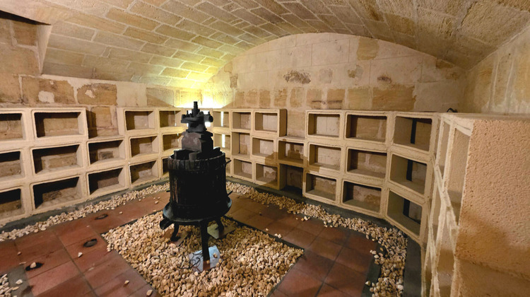 Ma-Cabane - Vente Maison AYGUEMORTE-LES-GRAVES, 359 m²