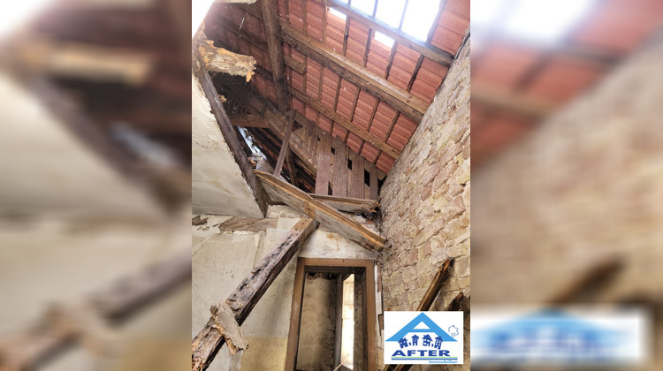 Ma-Cabane - Vente Maison Baccarat, 242 m²