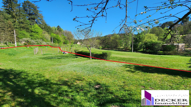 Ma-Cabane - Vente Maison Baerenthal, 239 m²