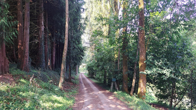 Ma-Cabane - Vente Maison Bais, 130 m²
