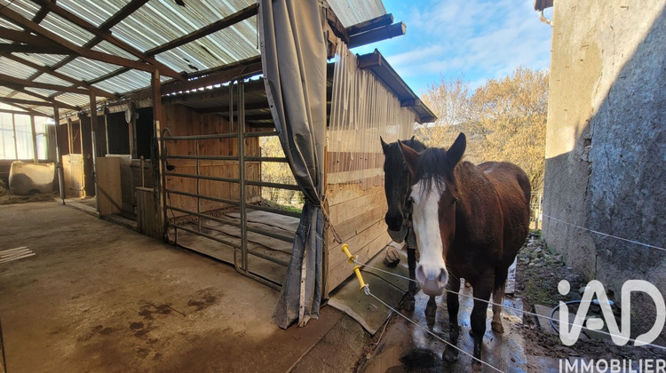 Ma-Cabane - Vente Maison Ban-sur-Meurthe-Clefcy, 105 m²