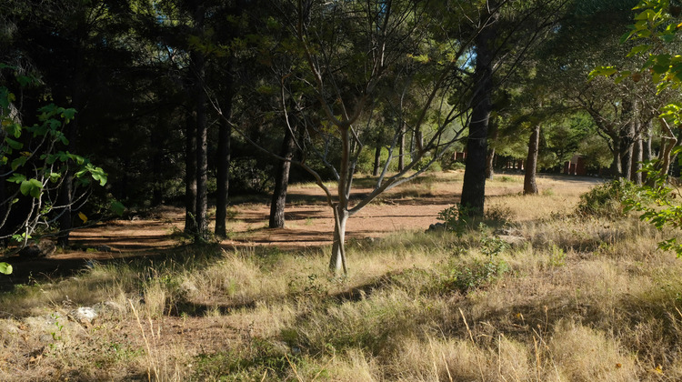 Ma-Cabane - Vente Maison Bandol, 185 m²