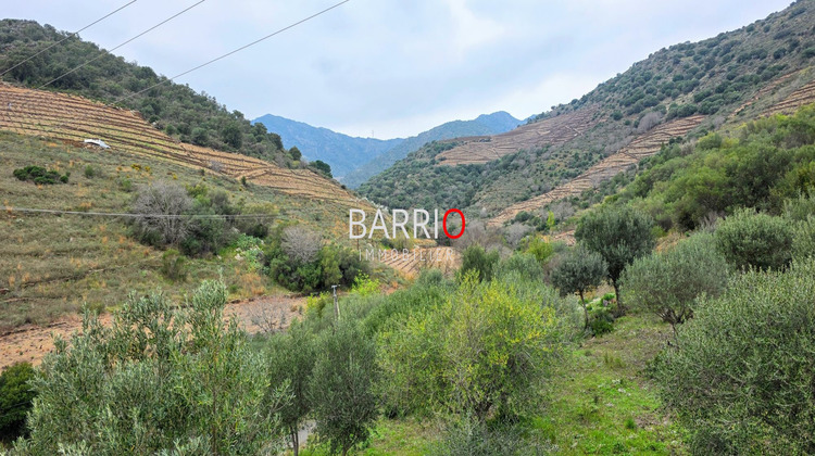 Ma-Cabane - Vente Maison Banyuls-sur-Mer, 225 m²