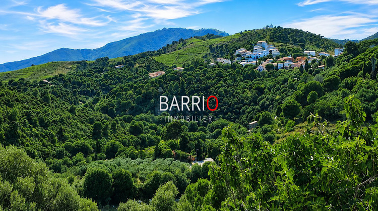 Ma-Cabane - Vente Maison Banyuls-sur-Mer, 41 m²