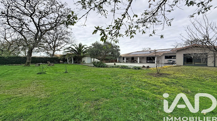 Ma-Cabane - Vente Maison Bas-Mauco, 150 m²