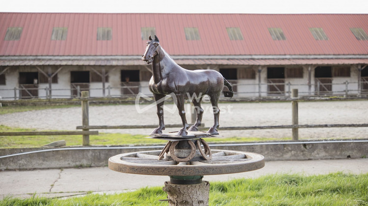 Ma-Cabane - Vente Maison Bassevelle, 220 m²