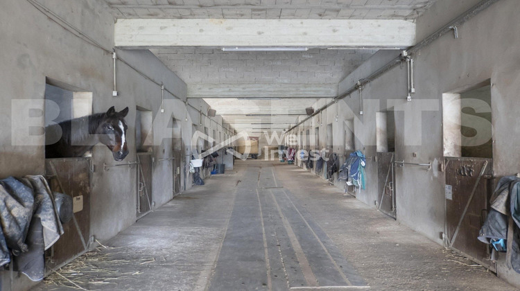 Ma-Cabane - Vente Maison Bassevelle, 220 m²