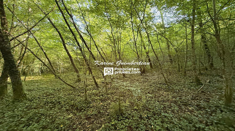 Ma-Cabane - Vente Maison BAYAS, 145 m²