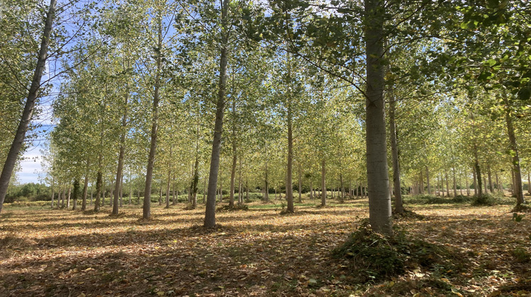 Ma-Cabane - Vente Maison Bazas, 106 m²