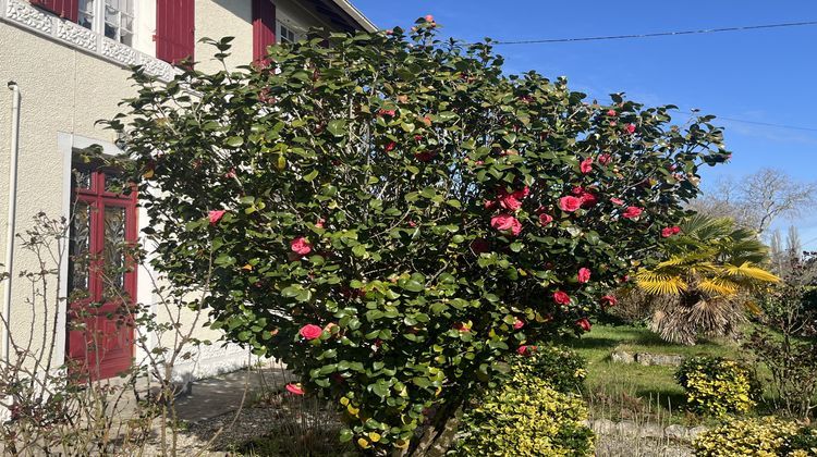 Ma-Cabane - Vente Maison Bazas, 180 m²