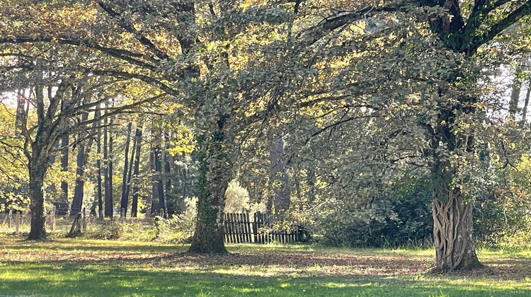 Ma-Cabane - Vente Maison Bazas, 280 m²