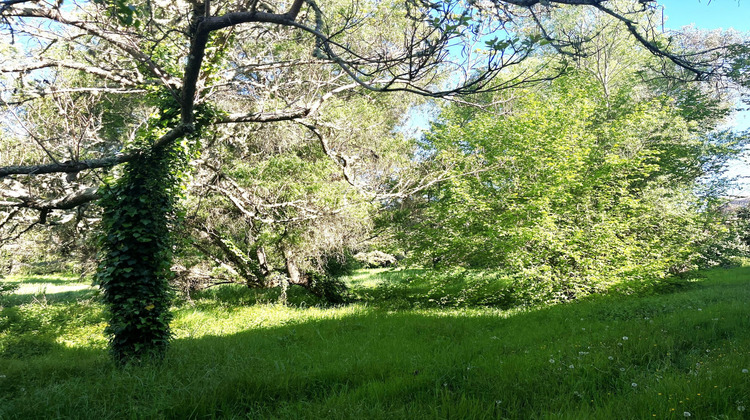 Ma-Cabane - Vente Maison Bazas, 500 m²