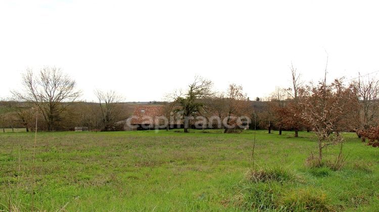 Ma-Cabane - Vente Maison BEAUMONT DE LOMAGNE, 300 m²