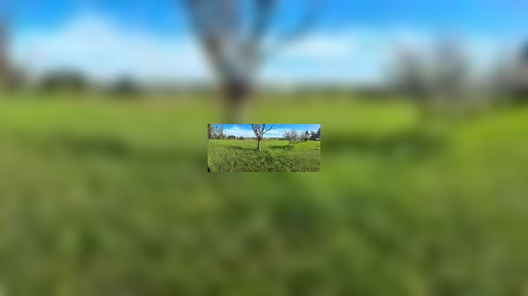 Ma-Cabane - Vente Maison Beaupuy, 190 m²