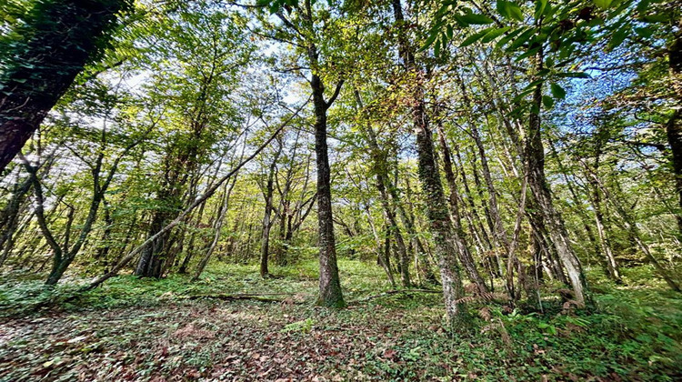 Ma-Cabane - Vente Maison BEAURONNE, 150 m²