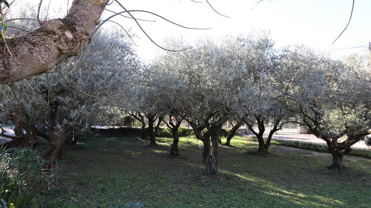 Ma-Cabane - Vente Maison BEDARRIDES, 210 m²