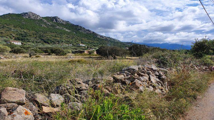 Ma-Cabane - Vente Maison Belgodère, 91 m²