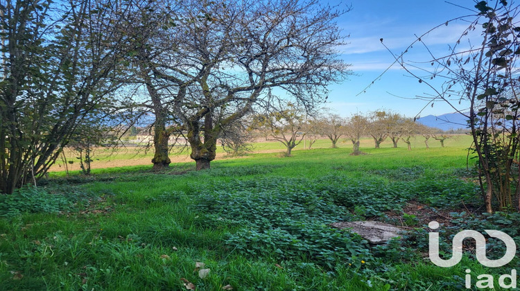 Ma-Cabane - Vente Maison Belley, 130 m²