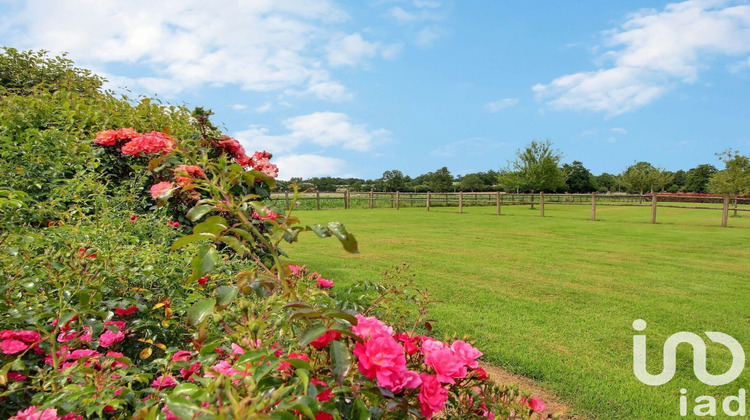 Ma-Cabane - Vente Maison Bellou-en-Houlme, 176 m²