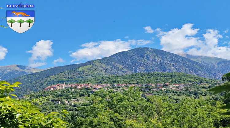 Ma-Cabane - Vente Maison Belvédère, 100 m²