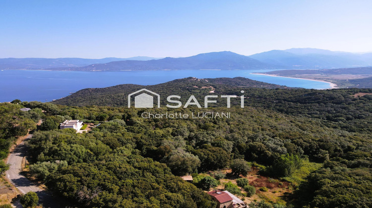 Ma-Cabane - Vente Maison Belvedere-Campomoro, 140 m²