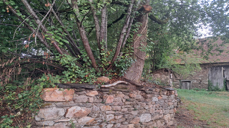 Ma-Cabane - Vente Maison Benayes, 110 m²