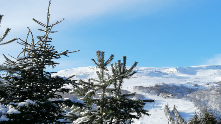 Ma-Cabane - Vente Maison Besse-et-Saint-Anastaise, 50 m²