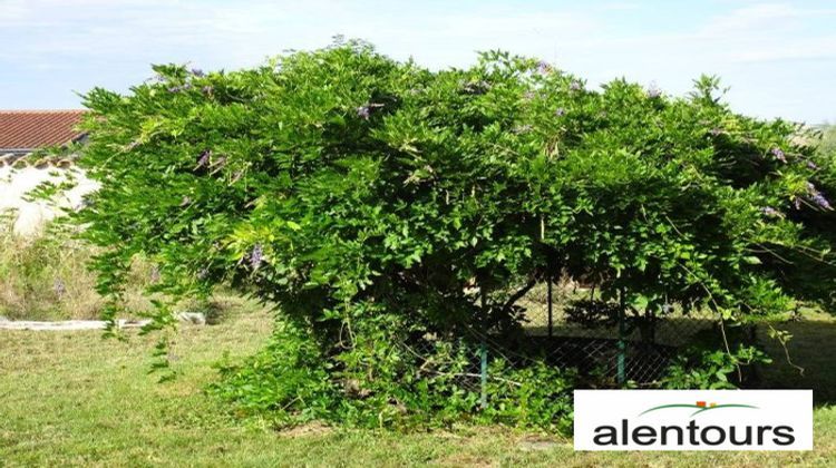 Ma-Cabane - Vente Maison Bessenay, 70 m²