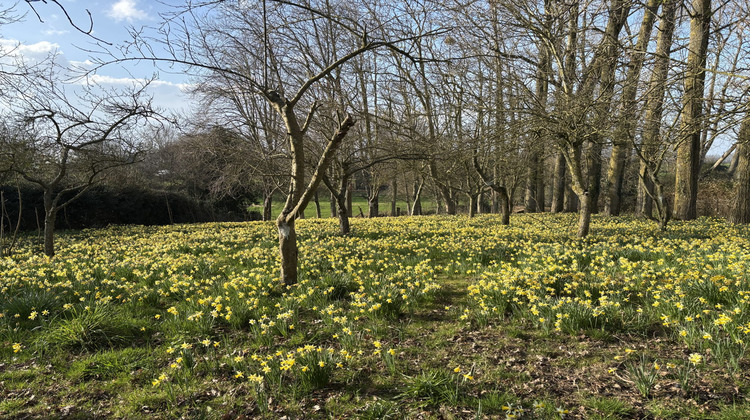Ma-Cabane - Vente Maison Béthencourt-sur-Mer, 165 m²