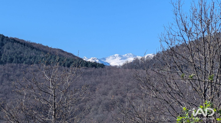 Ma-Cabane - Vente Maison Biert, 96 m²
