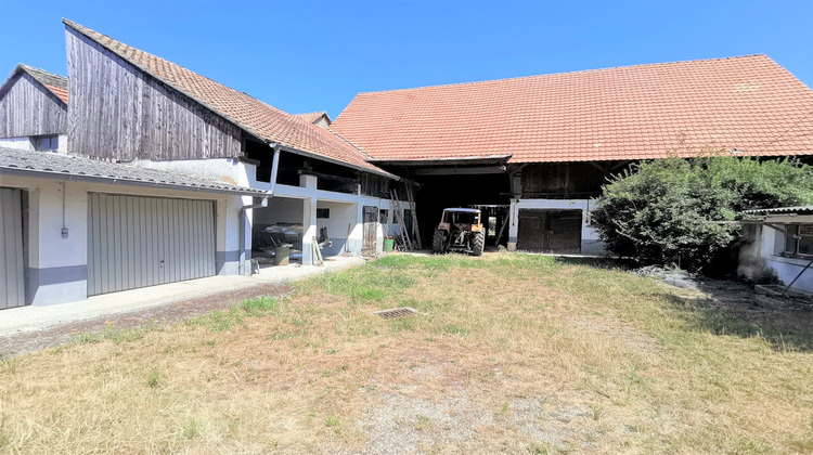 Ma-Cabane - Vente Maison Biesheim, 250 m²