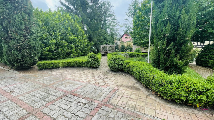 Ma-Cabane - Vente Maison Bischwiller, 378 m²