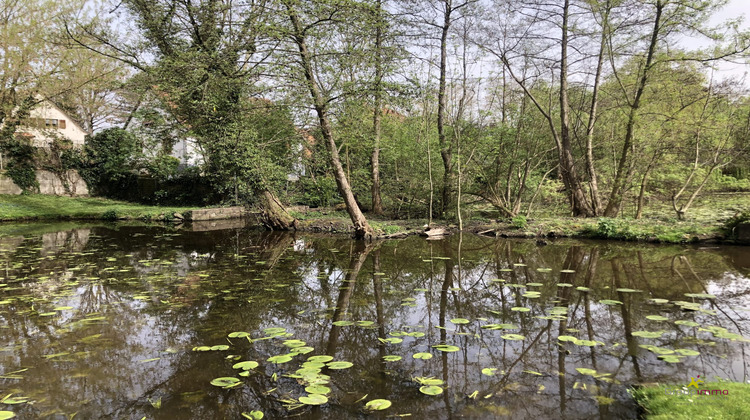 Ma-Cabane - Vente Maison Bischwiller, 378 m²