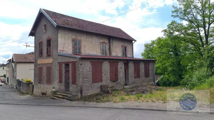 Ma-Cabane - Vente Maison Blâmont, 170 m²