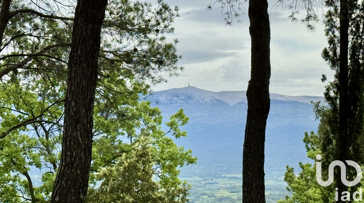 Ma-Cabane - Vente Maison Blauvac, 274 m²