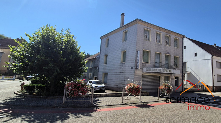 Ma-Cabane - Vente Maison Bliesbruck, 480 m²