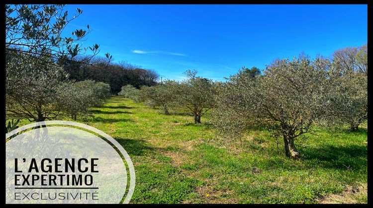 Ma-Cabane - Vente Maison Bollène, 650 m²