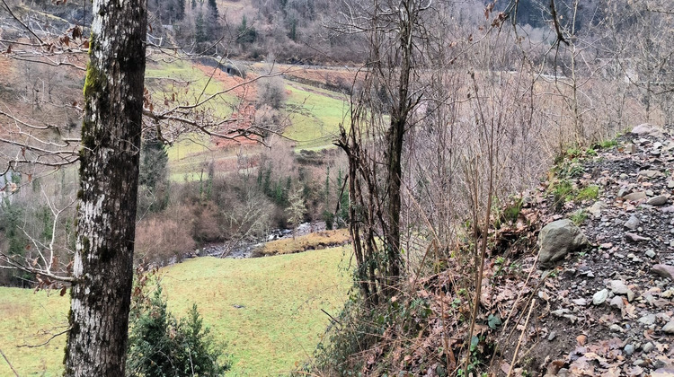 Ma-Cabane - Vente Maison Borce, 51 m²